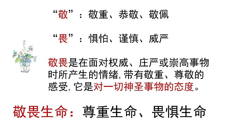 8.2 敬畏生命 课件-2022-2023学年部编版道德与法治七年级上册04