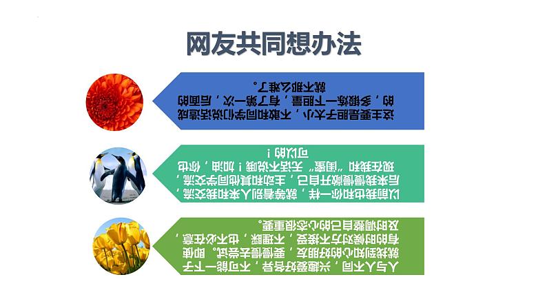 5.1 让友谊之树常青 课件-2022-2023学年部编版道德与法治七年级上册04