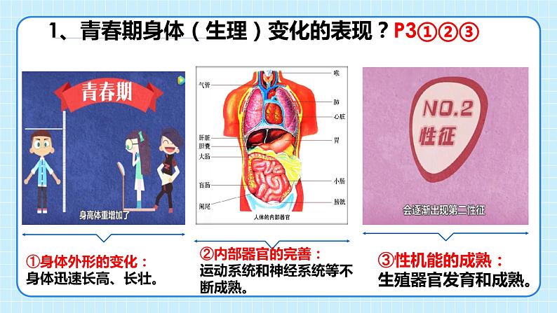 部编版7下道德与法治第一课第一框《悄悄变化的我》课件第8页