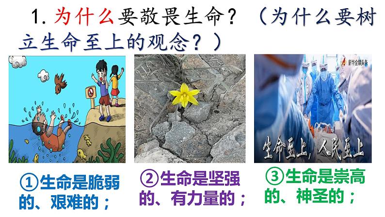 部编版道德与法治七年级上册  8.2 敬畏生命（PPT+视频素材）07