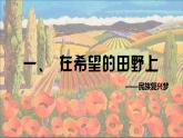 8.1.1 我们的梦想 课件