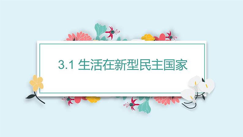 3.1 生活在新型民主国家 课件01