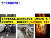 8.2 敬畏生命 课件-2022-2023学年部编版道德与法治七年级上册