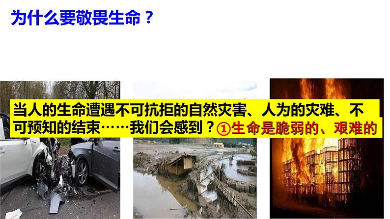 8.2 敬畏生命 课件-2022-2023学年部编版道德与法治七年级上册05