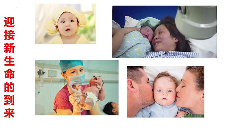 10.1感受生命的意义  课件-2022-2023学年部编版道德与法治七年级上册第3页