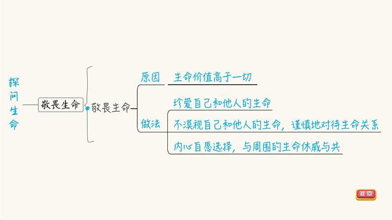 第4课时生命的思考第5页