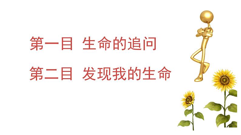 部编版七年级道德与法治上册--10.1 感受生命的意义（精品课件）04