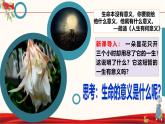 -10.1 感受生命的意义 课件 2021-2022学年部编版道德与法治七年级上册
