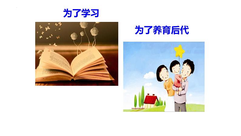 10.1 感受生命的意义 课件 2022-2023学年部编版道德与法治七年级上册第4页