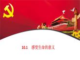 10.1 感受生命的意义 课件-2022-2023学年部编版道德与法治七年级上册