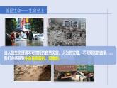 8.2  敬畏生命 课件-2022-2023学年部编版道德与法治七年级上册