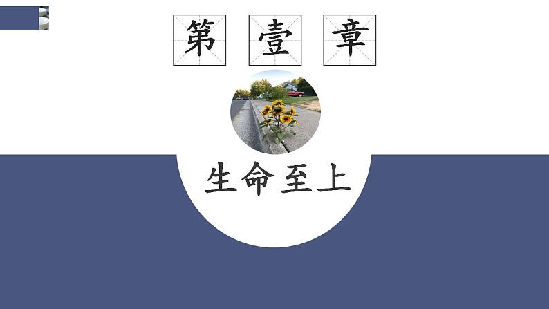 8.2 敬畏生命  课件-2022-2023学年部编版道德与法治七年级上册第5页