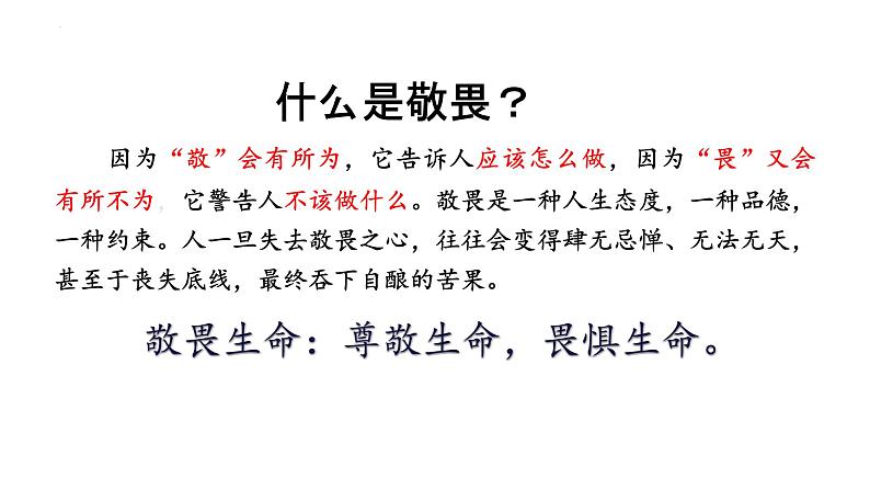 8.2 敬畏生命 课件-2022-2023学年部编版道德与法治七年级上册04