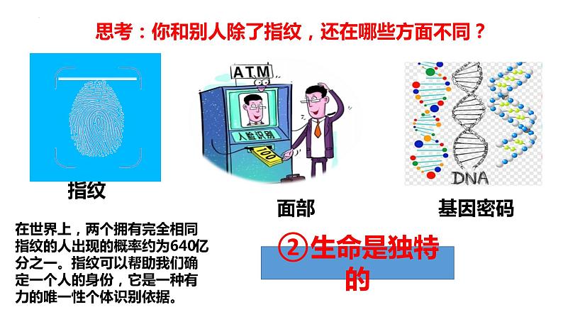 统编版道德与法治初中七年级上册同步课件 8.1 生命可以永恒吗 课件第8页