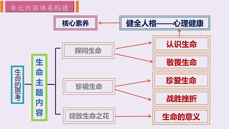 统编版道德与法治初中七年级上册同步课件 8.1生命可以永恒吗 课件 (2)第3页