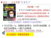 统编版道德与法治初中七年级上册同步课件 8.2 敬畏生命（ 课件）
