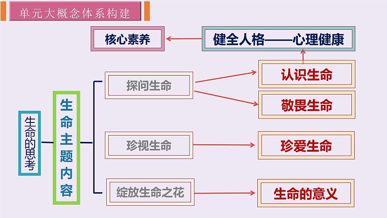 统编版道德与法治初中七年级上册同步课件 8.2敬畏生命 课件03