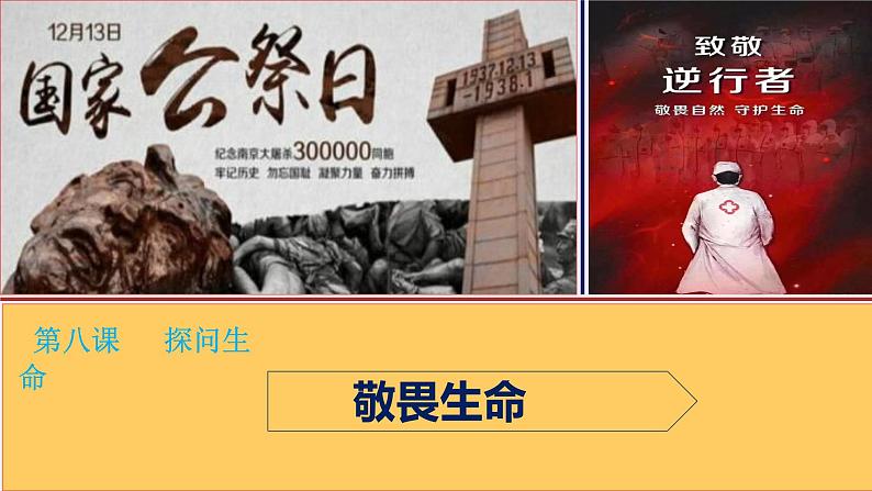 统编版道德与法治初中七年级上册同步课件 8.2敬畏生命 课件04