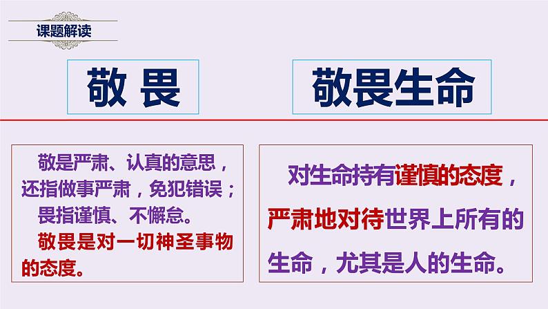 统编版道德与法治初中七年级上册同步课件 8.2敬畏生命 课件05