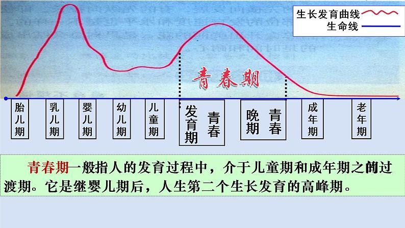 人教版七年级下册 道德与法治 悄悄变化的我 课件08