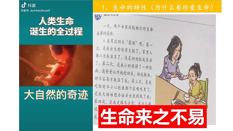 2022-2023学年部编版道德与法治七年级上册 8.1 生命可以永恒吗 课件05