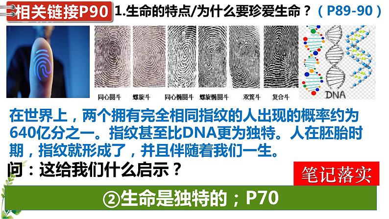 2022-2023学年部编版道德与法治七年级上册 8.1 生命可以永恒吗 课件07