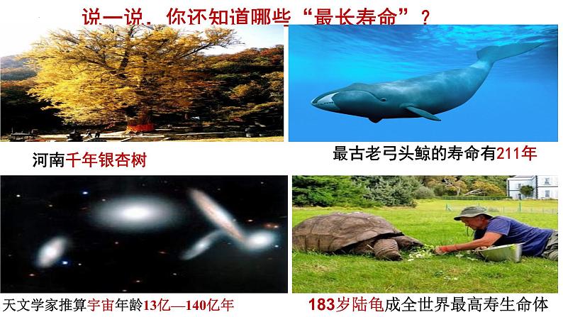 2022-2023学年部编版道德与法治七年级上册8.1+生命可以永恒吗+课件1第2页