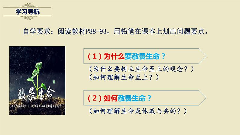 2022-2023学年部编版道德与法治七年级上册8.2+敬畏生命+课件1第4页