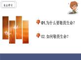 2022-2023学年部编版道德与法治七年级上册 8.2 敬畏生命 课件