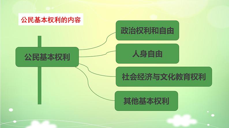 3.1 公民基本权利 课件06