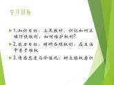 3.2 依法行使权利 课件