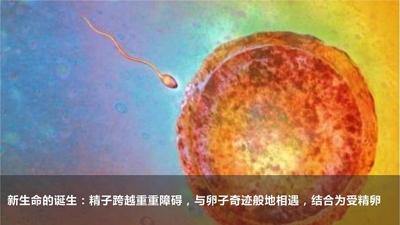 8.1 生命可以永恒吗 课件 2022-2023学年部编版道德与法治七年级上册06