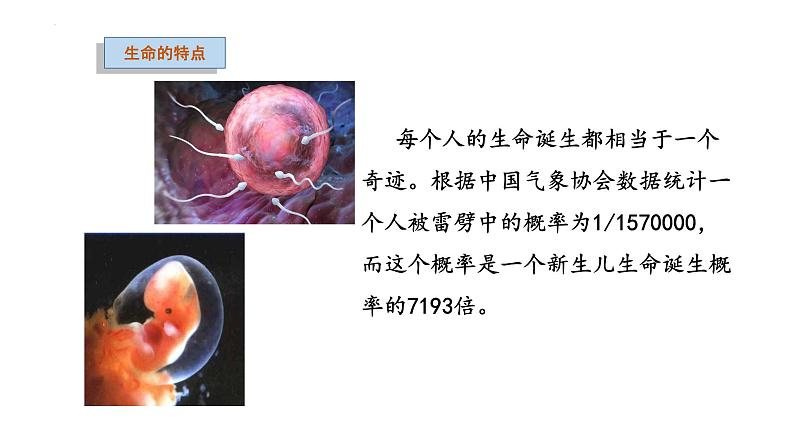 8.1 生命可以永恒吗 课件-2022-2023学年部编版道德与法治七年级上册07