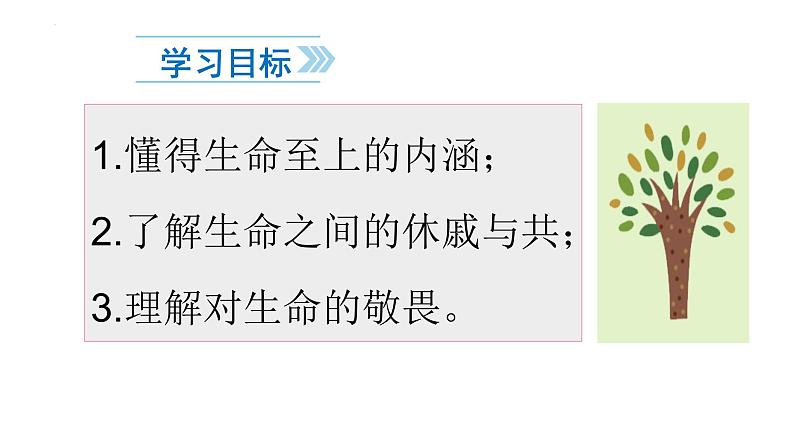 8.2  敬畏生命 课件 -2022-2023学年部编版道德与法治七年级上册第2页