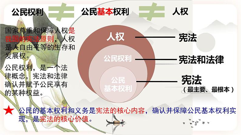3.1公民基本权利 课件第4页