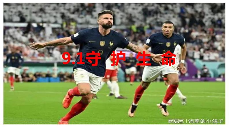 2022-2023学年部编版道德与法治七年级上册 守护生命 课件02