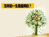 2022-2023学年部编版道德与法治七年级上册 10.1 感受生命的意义 课件