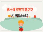 2022-2023学年部编版道德与法治七年级上册v 10.1 感受生命的意义 课件