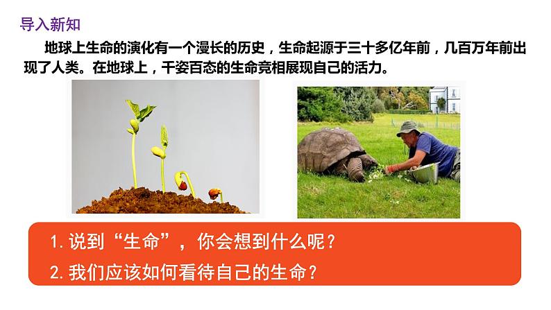 2022-2023学年部编版道德与法治七年级上册 8.1 生命可以永恒吗 课件第2页