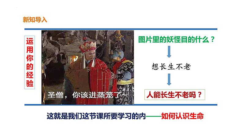 2022-2023学年部编版道德与法治七年级上册 8.1 生命可以永恒吗 课件第6页