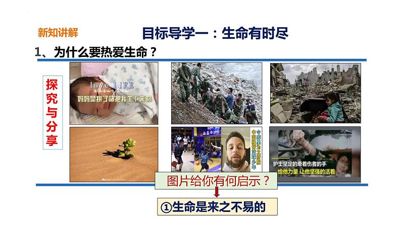 2022-2023学年部编版道德与法治七年级上册 8.1 生命可以永恒吗 课件第7页