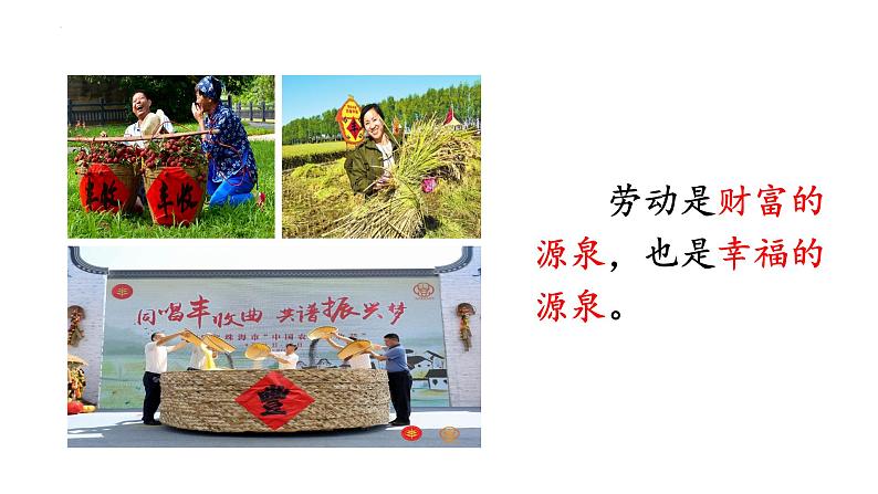 2022-2023学年部编版道德与法治八年级上册 10.2 天下兴亡 匹夫有责 课件08