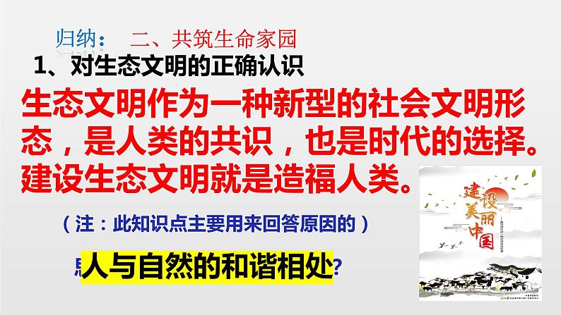 2022-2023学年部编版道德与法治九年级上册 6.2 共筑生命家园 课件04