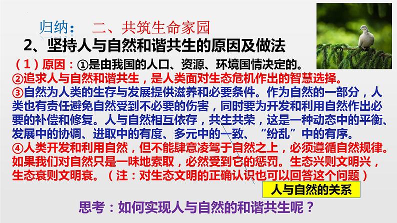 2022-2023学年部编版道德与法治九年级上册 6.2 共筑生命家园 课件05