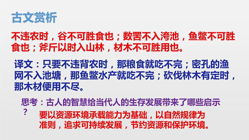 2022-2023学年部编版道德与法治九年级上册 6.2 共筑生命家园 课件06