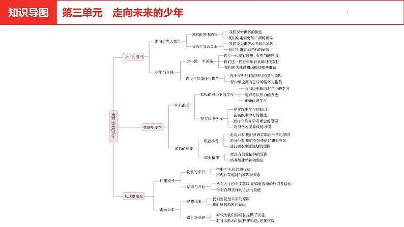 中考道德与法治总复习九年级下册第三单元课件第2页