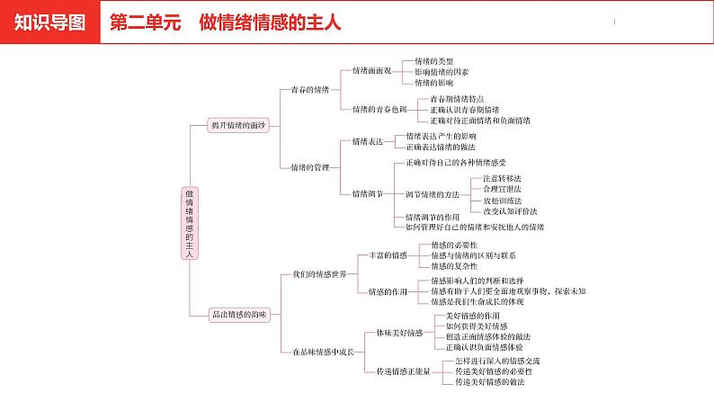 中考道德与法治总复习七年级下册第二单元课件第2页