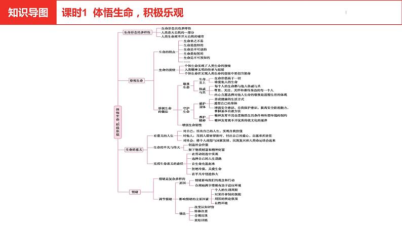 中考总复习道德与法制（河北地区）道德板块 课时1课件第3页