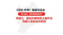 中考总复习道德与法制（河北地区）热点专题 专题七课件