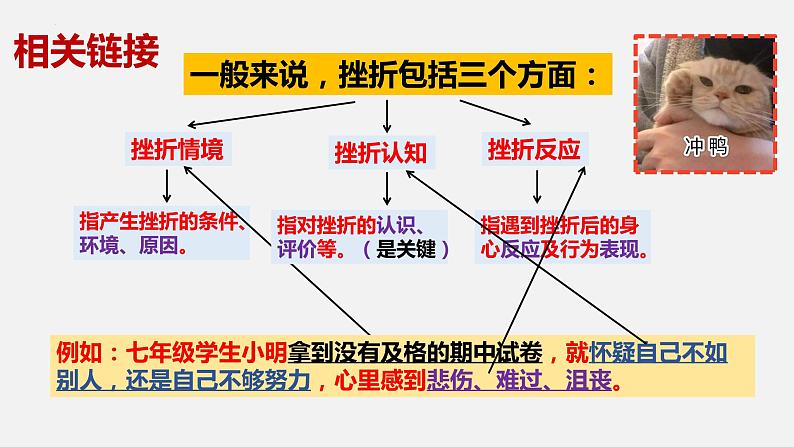 人教部编版 七上 第四单元 9.2增强生命的韧性 课件06